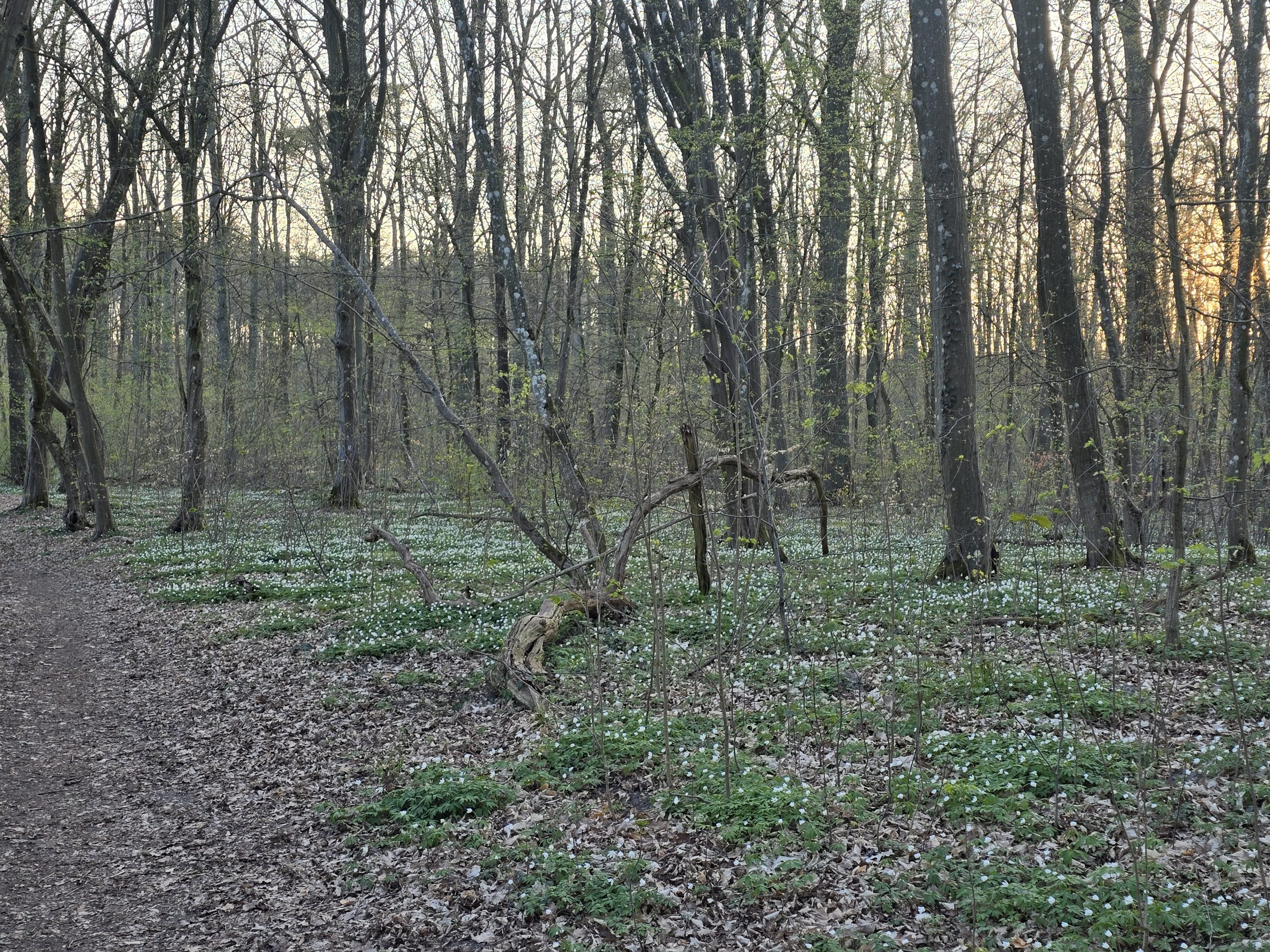 LANDORIA: Gemeinsam für Menschlichkeit